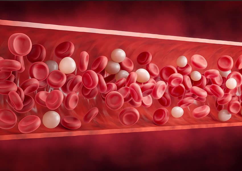 Heparin PF4 Antibody