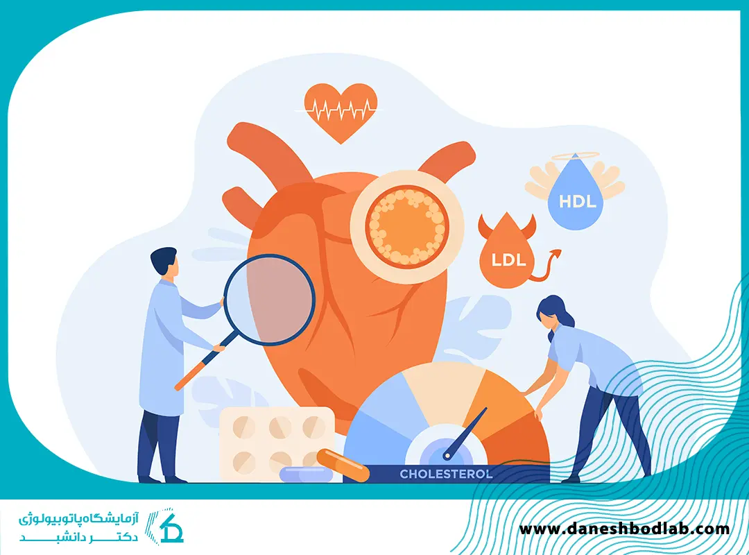 چربی خون بالا | از علائم تا تشخیص با آزمایش چربی خون