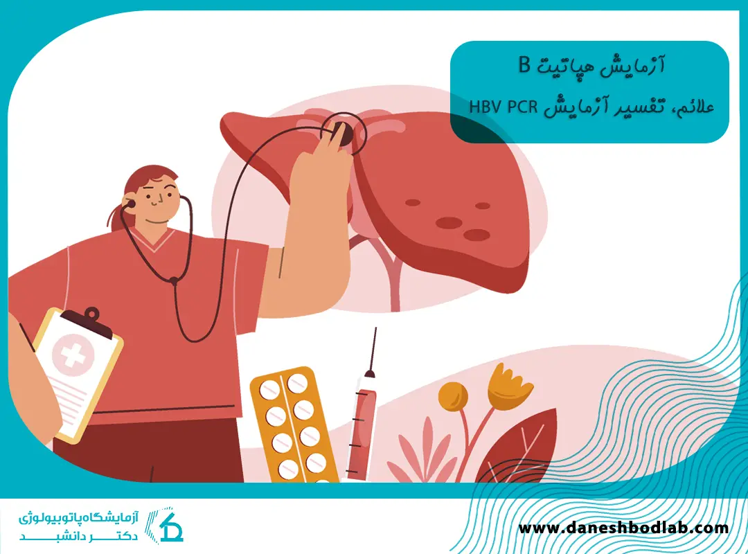 هپاتیت B چیست؟ | علائم، آزمایش خون، تفسیر HBV PCR و واکسن