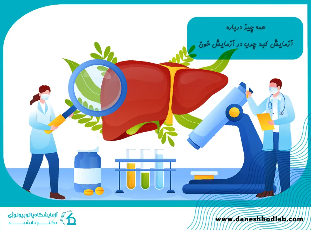 کبد چرب و گریدهای آن در آزمایش خون | تفسیر نتایج و علائم