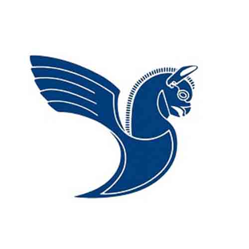 هواپیمایی هما