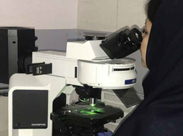 بخش سیتوژنتیک مولکولی